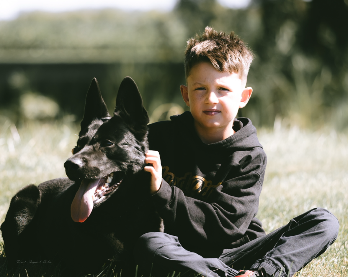 All about the protection dog journal